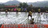 中泰泰陽米活動